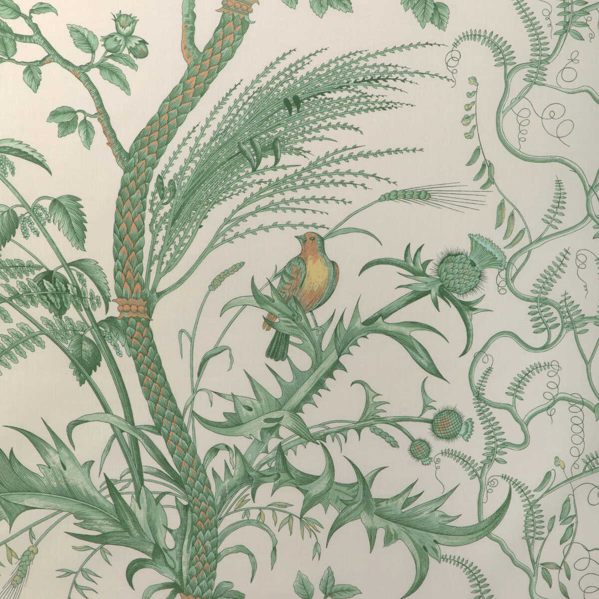 Bird And Thistle Cotton Print - Green - BRUNSCHWIG & FILS Fabric