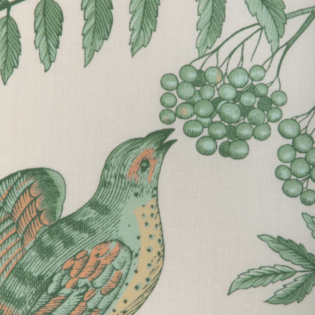 Bird And Thistle Cotton Print - Green - BRUNSCHWIG & FILS Fabric