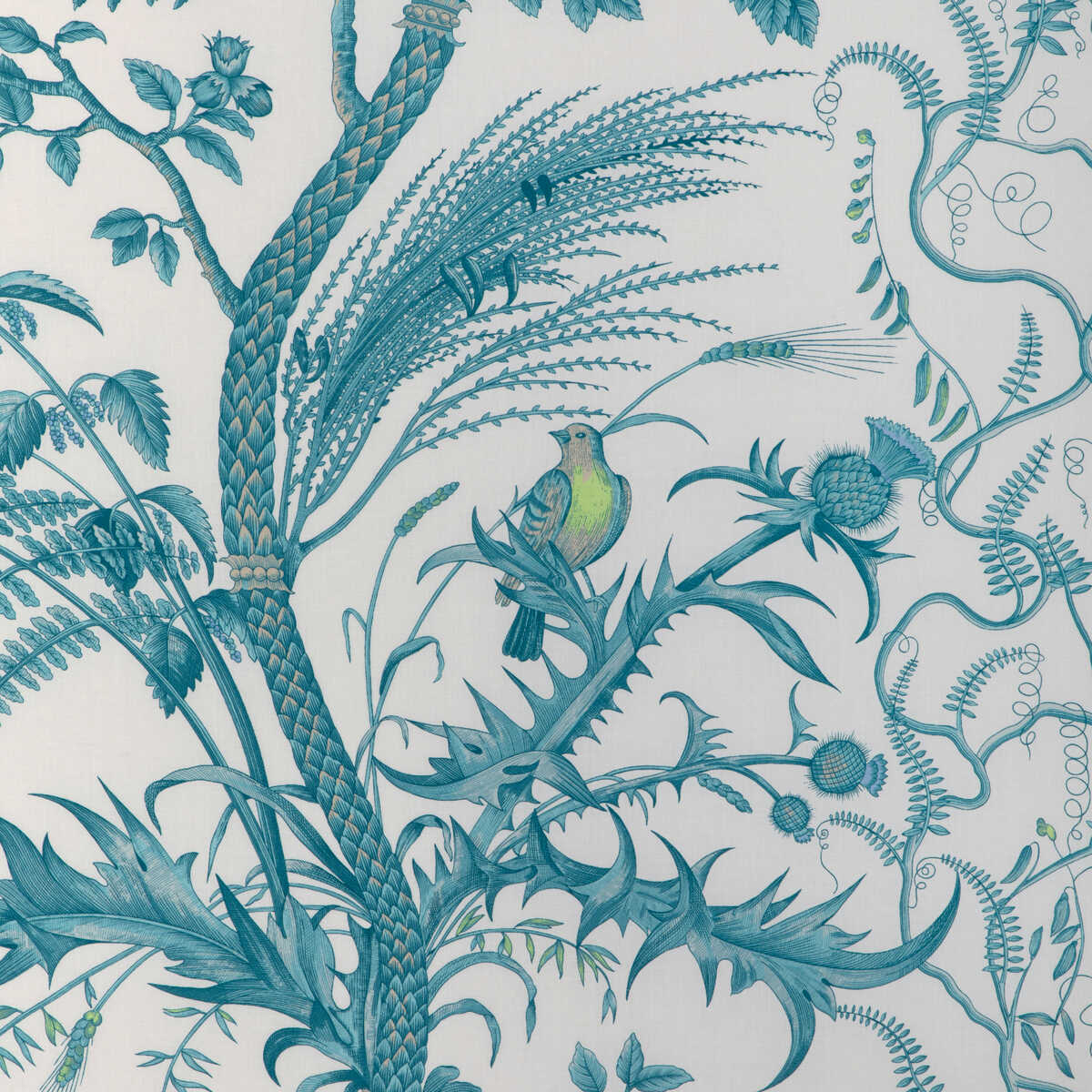 Bird And Thistle Cotton Print - Aqua - BRUNSCHWIG & FILS Fabric