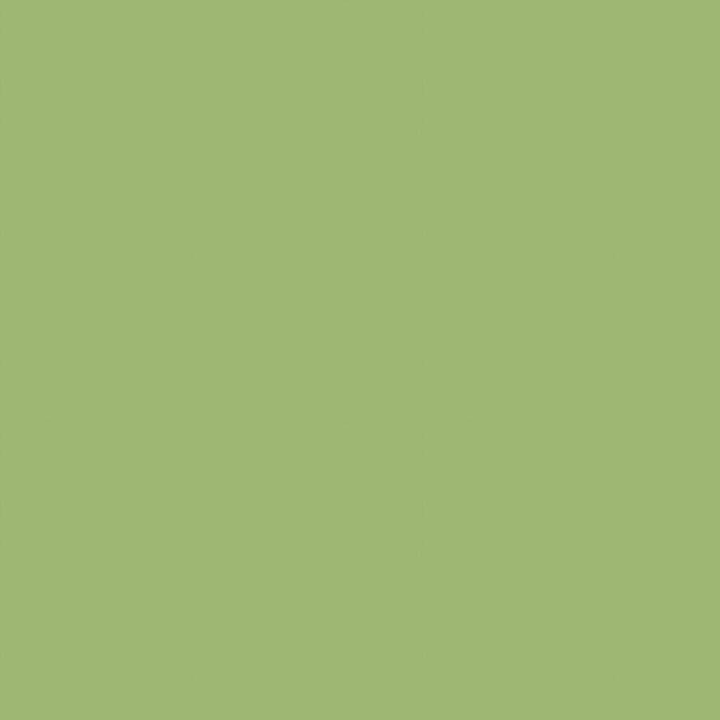 Satin La Tour - Vert - BRUNSCHWIG & FILS Fabric
