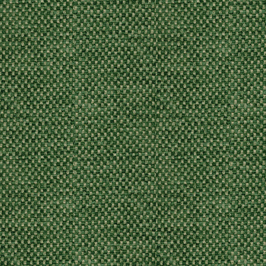 Yorke Chenille - Forest - BRUNSCHWIG & FILS Fabric