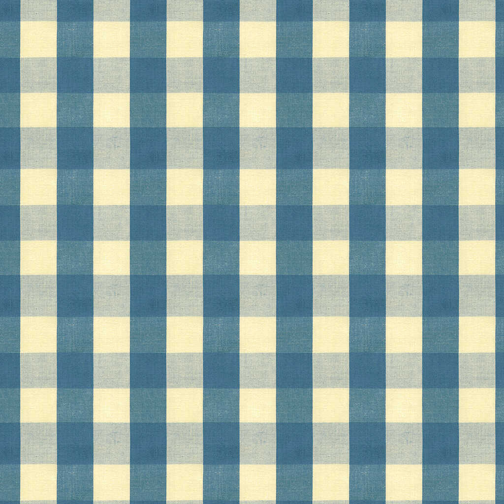 Carsten Check - Indigo - BRUNSCHWIG & FILS Fabric