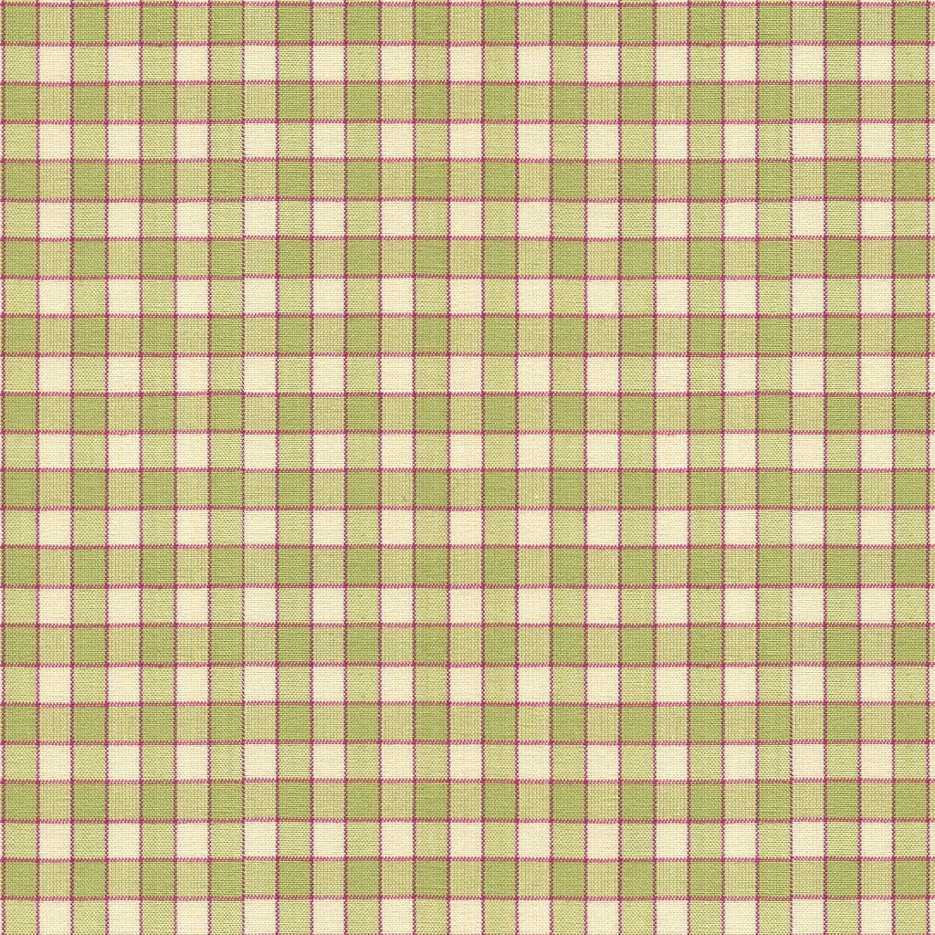 La Seyne Check - Apple - Brunschwig & Fils Fabric