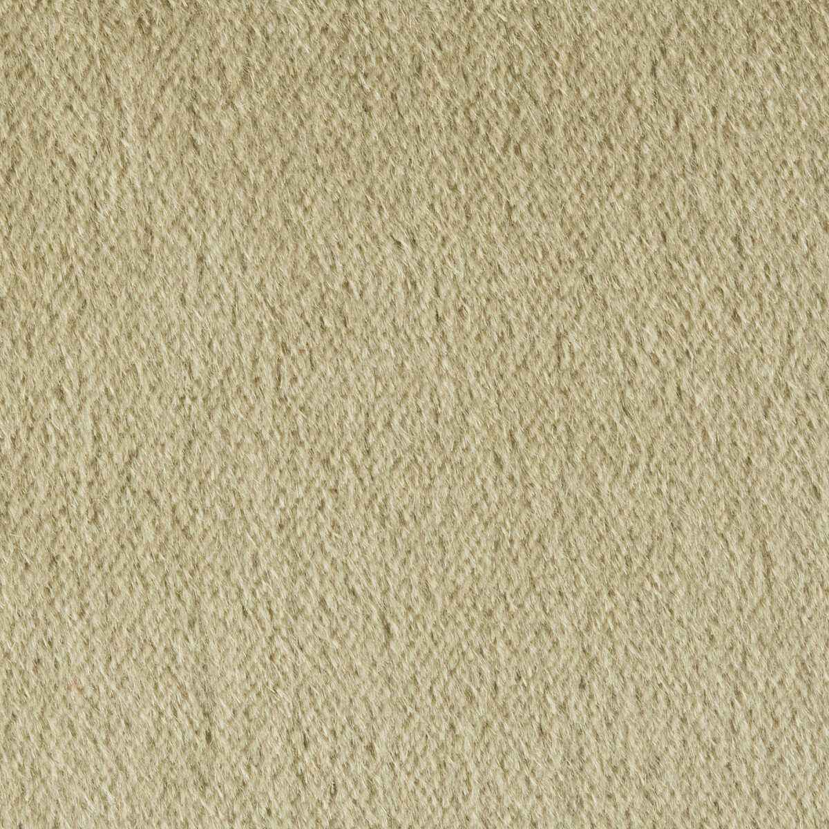 Br897783110 Autun Mohair Velvet Eucalyptus Brunschwig Fils Fabric
