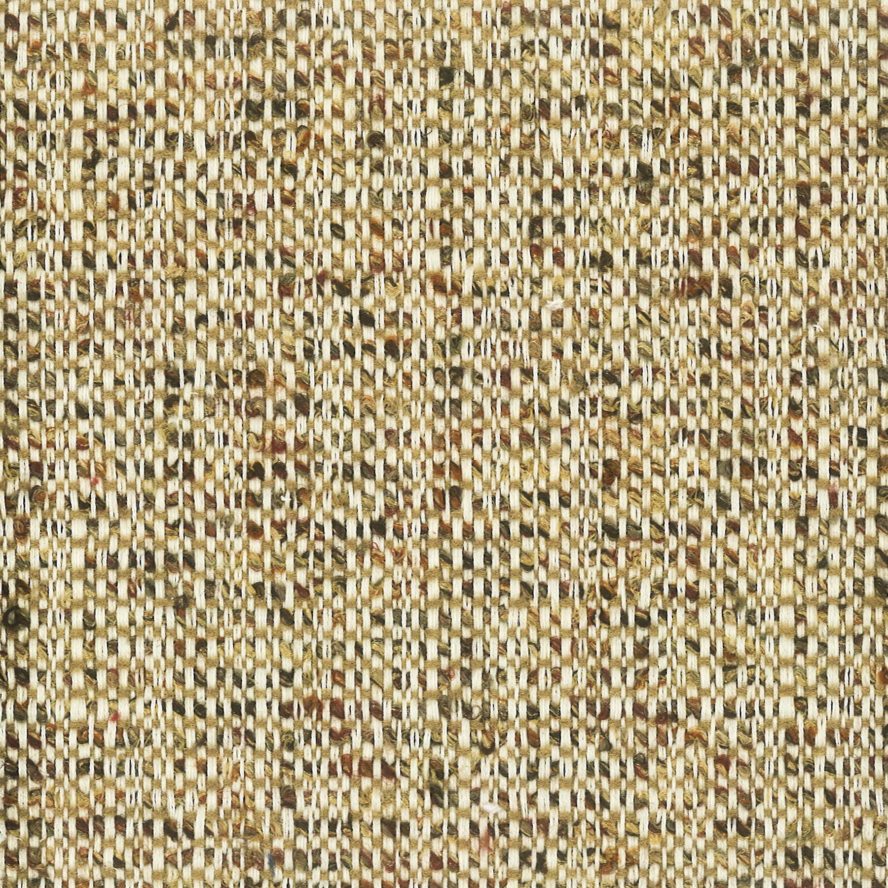 BRIDLE-2-ACORN-STOUT-TEXTILES - Stout Textiles Fabric