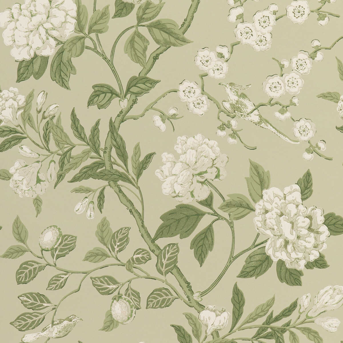 Emperor'S Garden - Soft Green - G P & J BAKER Wallpaper