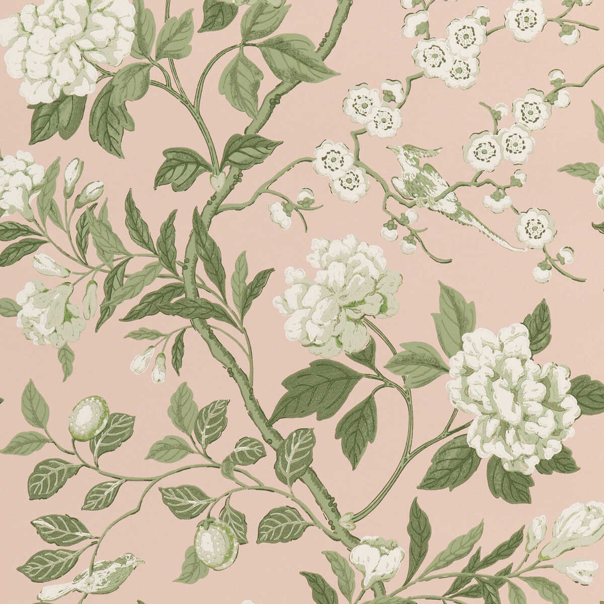 Emperor'S Garden - Blush - G P & J BAKER Wallpaper