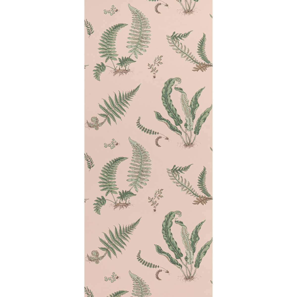 Ferns - Blush - G P & J BAKER Wallpaper