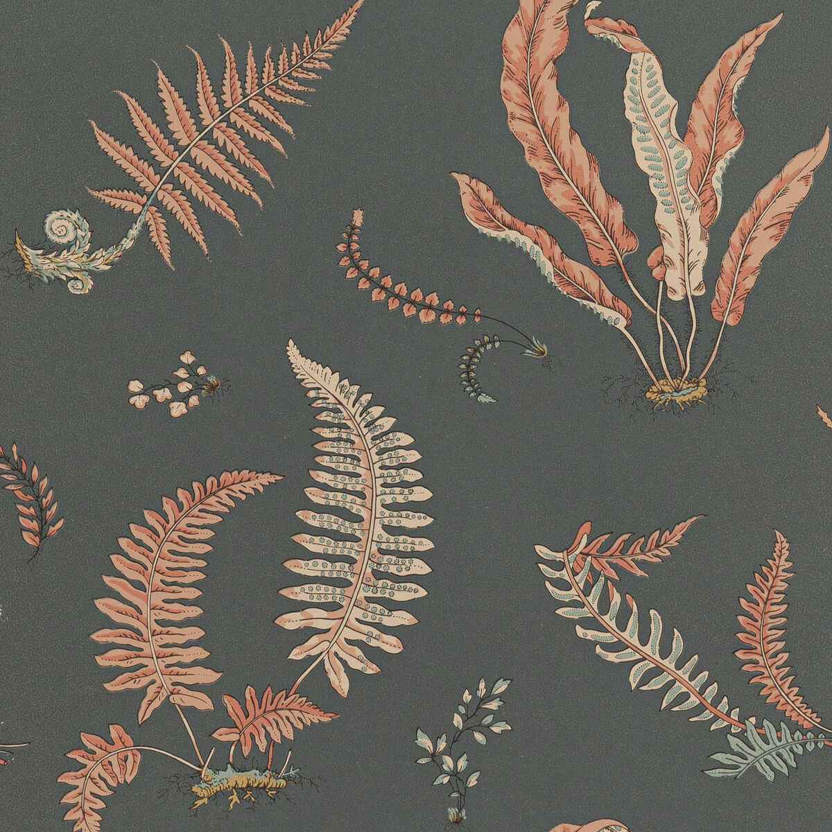 Bw45044130 Ferns Coral Charcoal G P J Baker Wallpaper