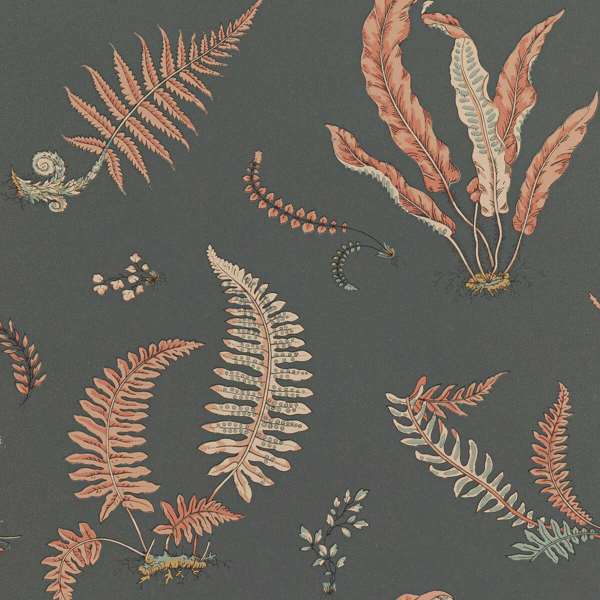 Ferns - Coral/Charcoal - G P & J BAKER Wallpaper