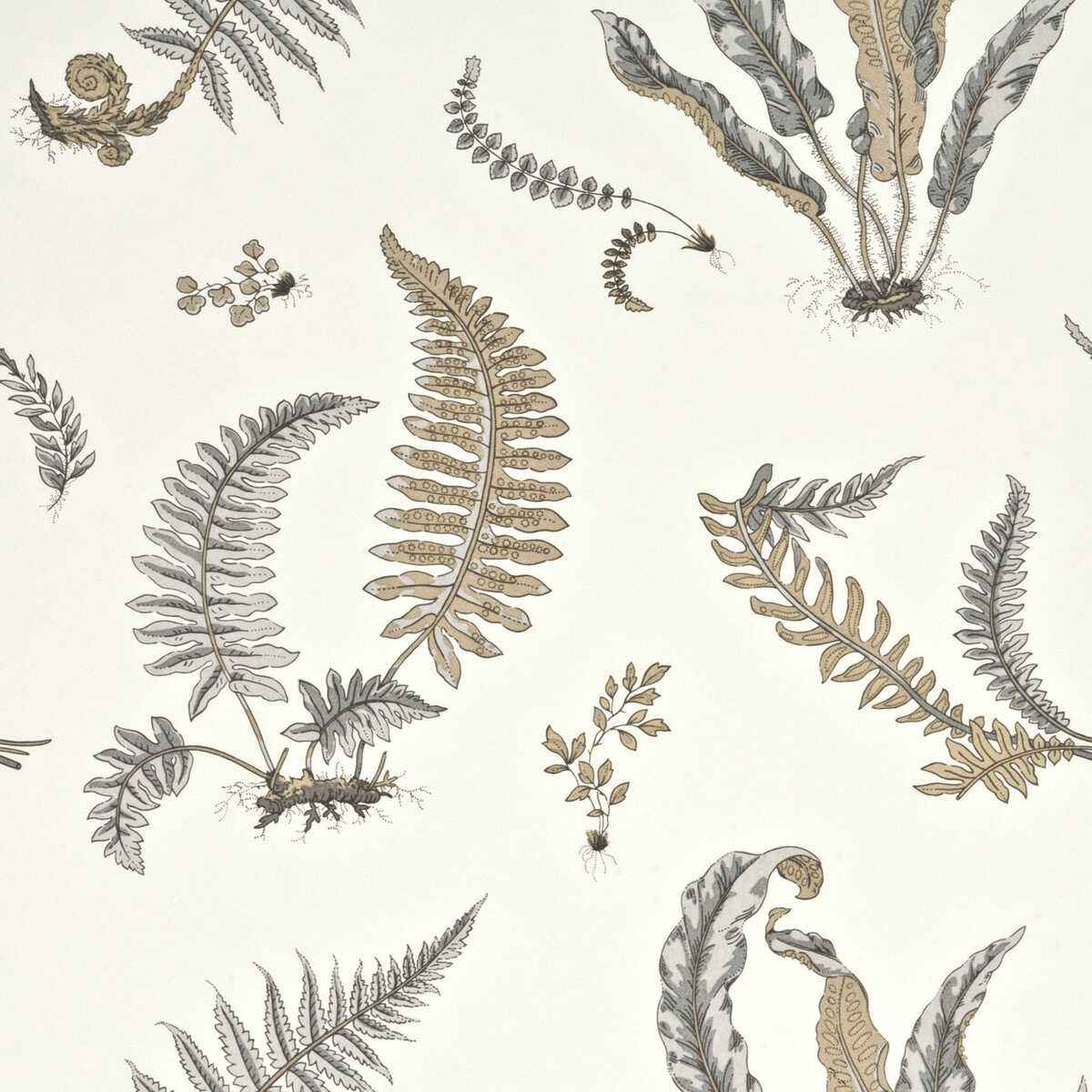 Bw4504440 Ferns Dove Grey Silver G P J Baker Wallpaper
