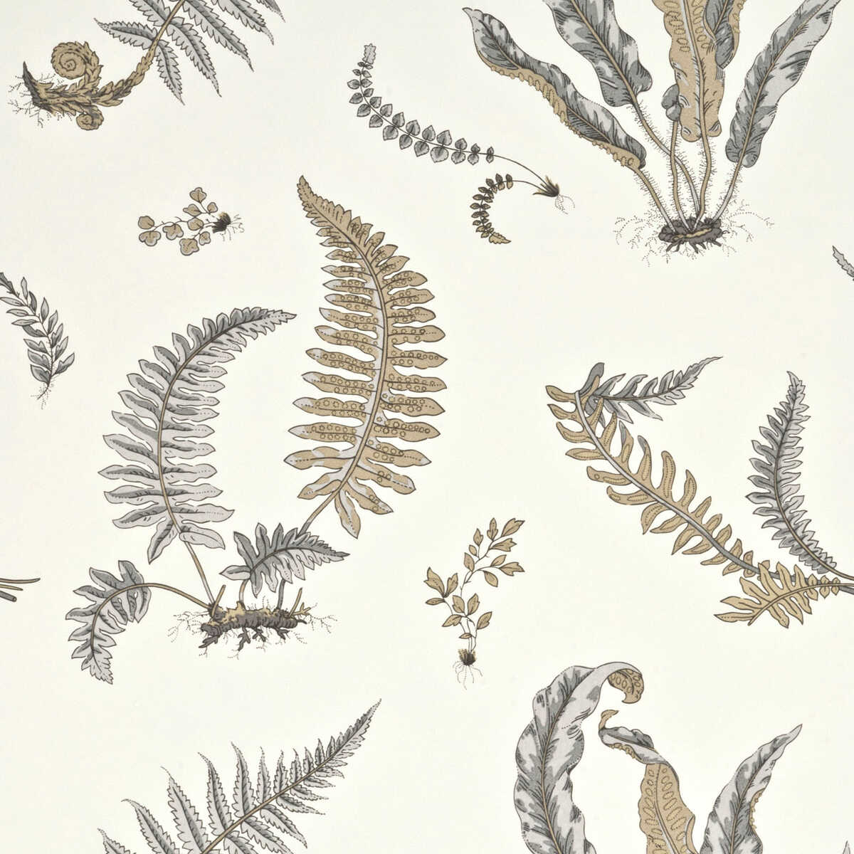 Ferns - Dove Grey/Silver - G P & J BAKER Wallpaper