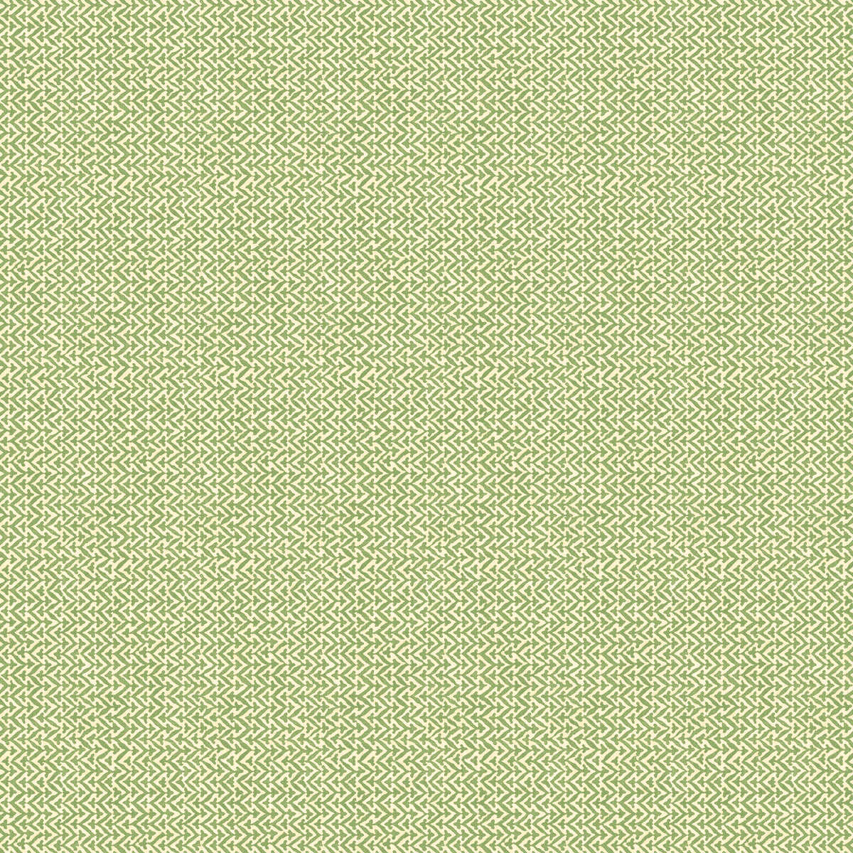 Tilly - Green
