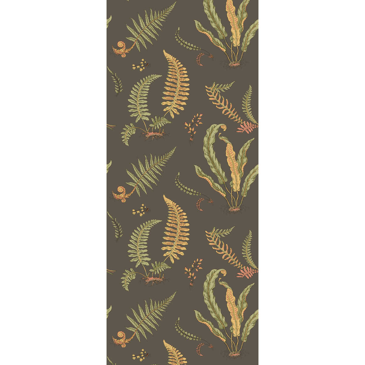 Ferns - Charcoal