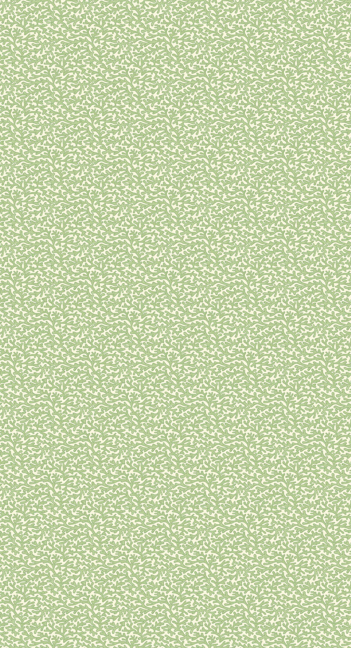 Tuffley - Green - G P & J BAKER Wallpaper