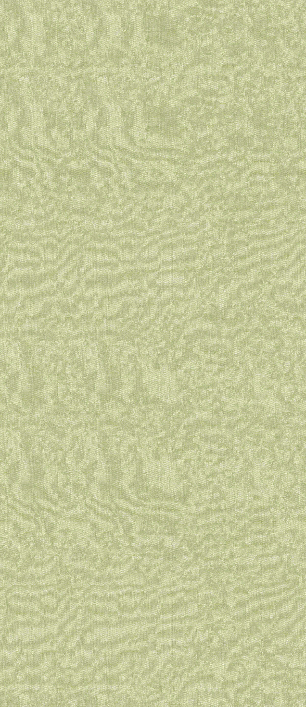 Cubby - Cardamon - G P & J BAKER Wallpaper