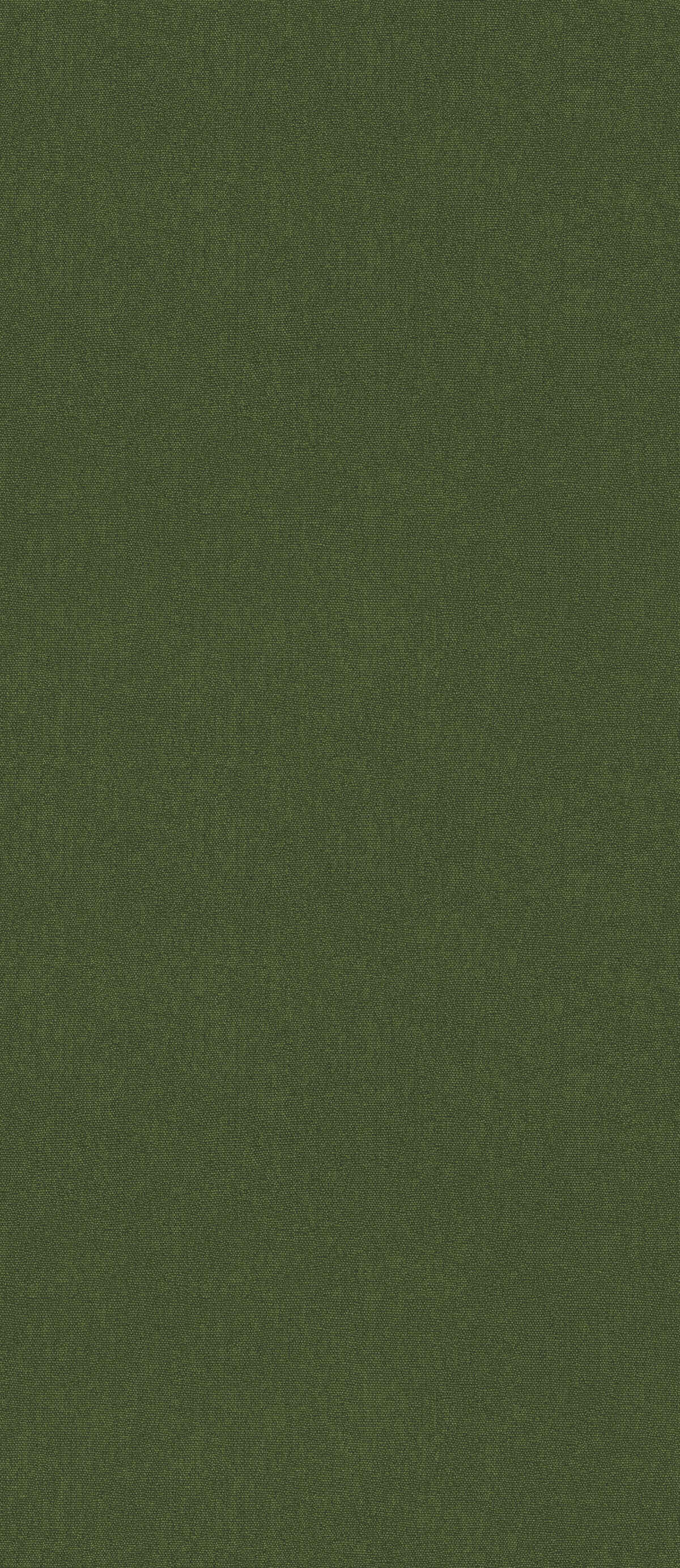 Cubby - Forest - G P & J BAKER Wallpaper