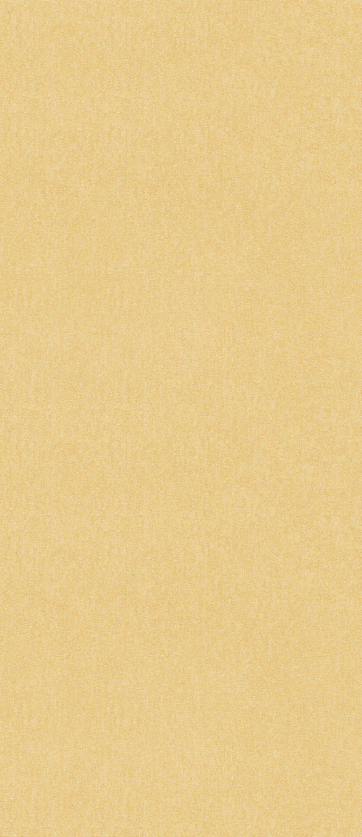 Cubby - Sunshine - G P & J BAKER Wallpaper