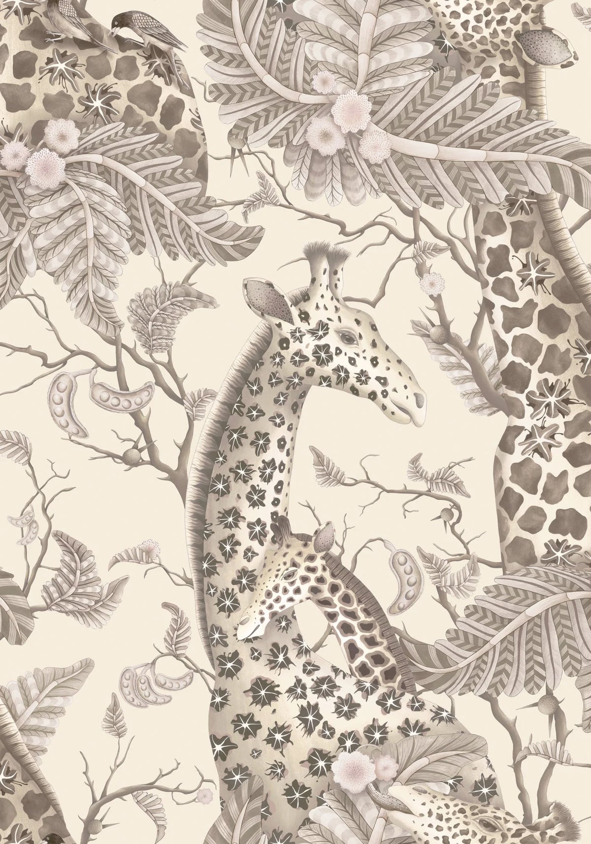 129/3011.CS.0 - Royal Giraffe - Pebble | Cole & Son Wallpaper - Cole & Son Wallpaper