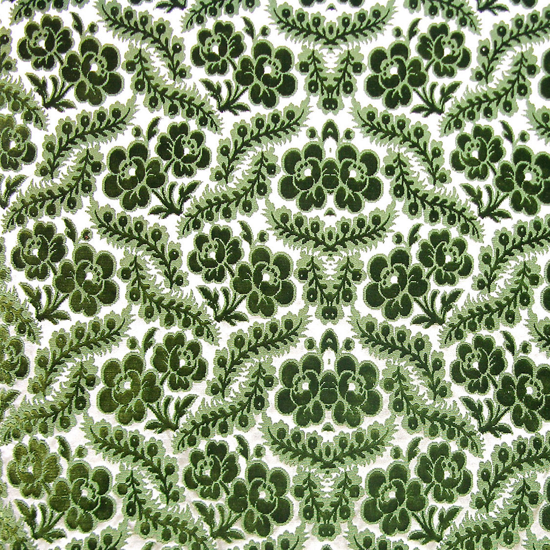 Primula - Emerald