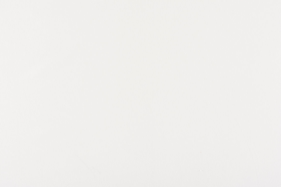 Canvas - White - Scalamandre Fabric