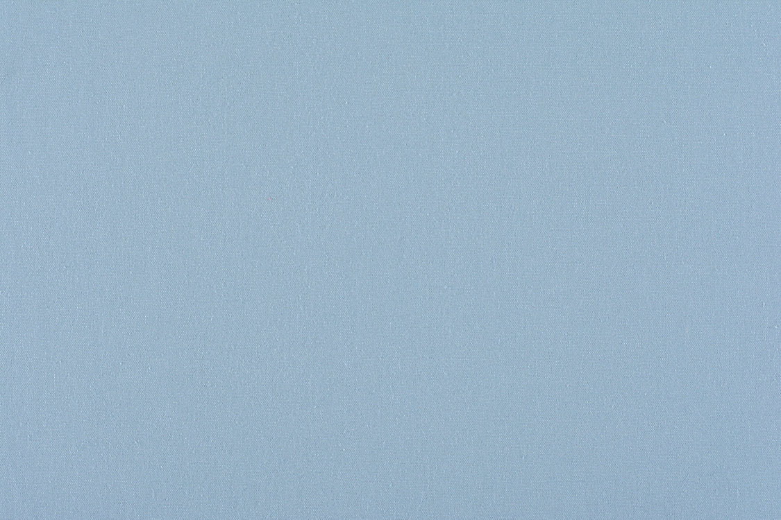 Canvas - Bluebell - Scalamandre Fabric