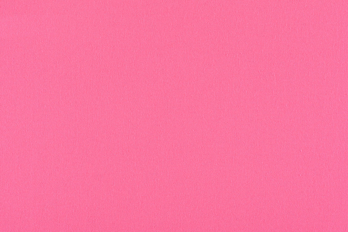 Canvas - Blossom - Scalamandre Fabric