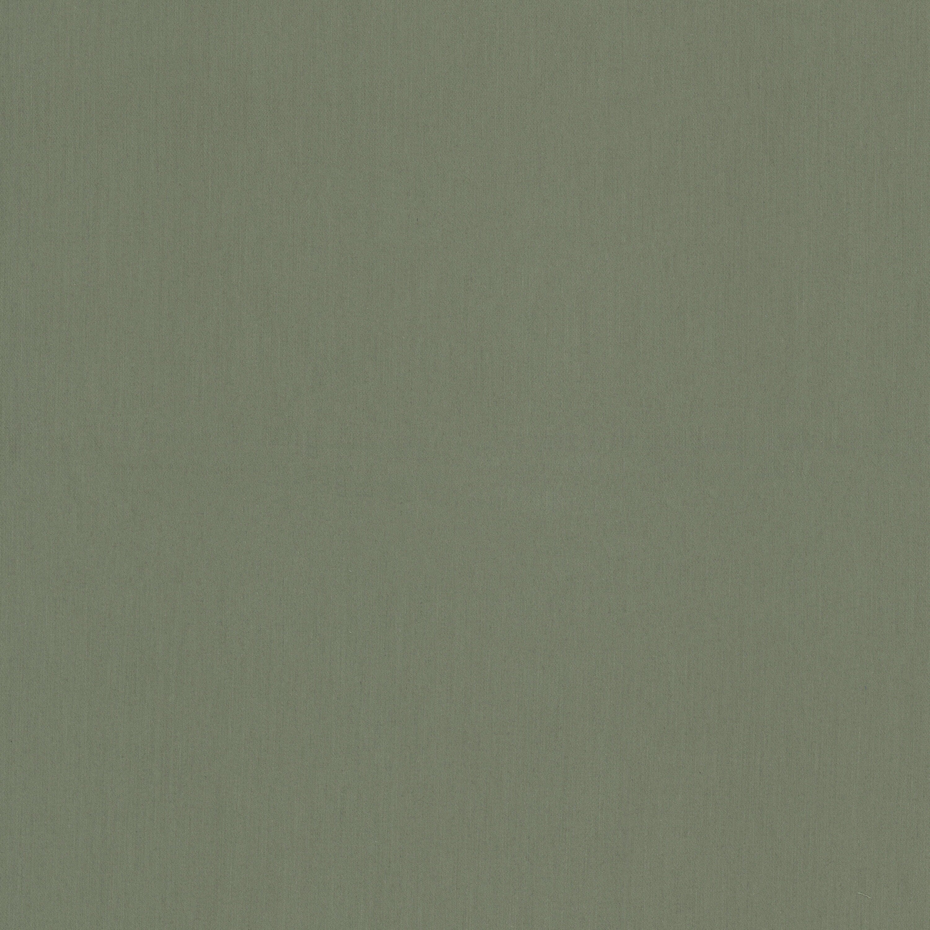 Caldwell 1 Sage - Stout Textiles Fabric - Stout Textiles Fabric