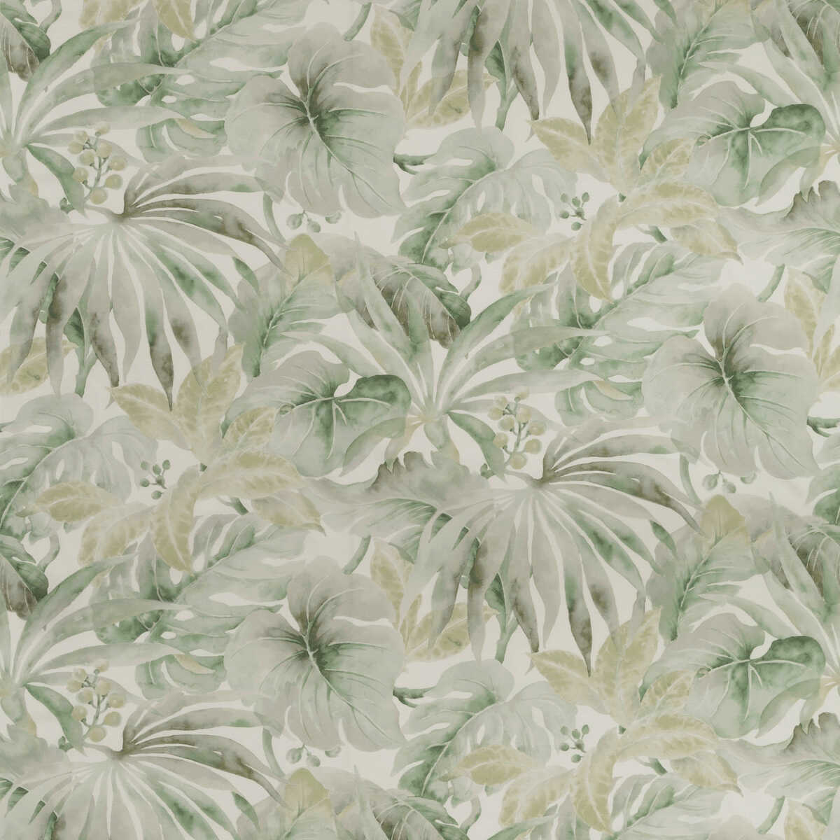 Kravet Basics - Carles-23 - KRAVET BASICS Fabric