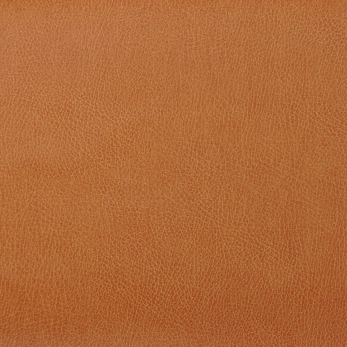 Kravet Design - Caswell-12 - KRAVET DESIGN Fabric