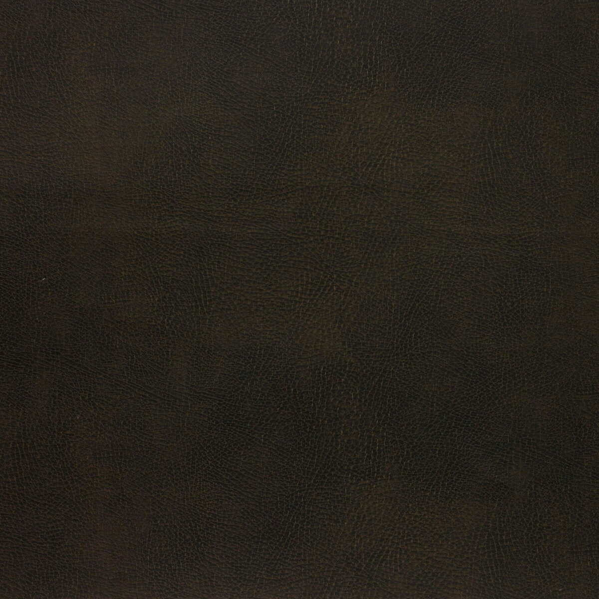 Kravet Design - Caswell-66