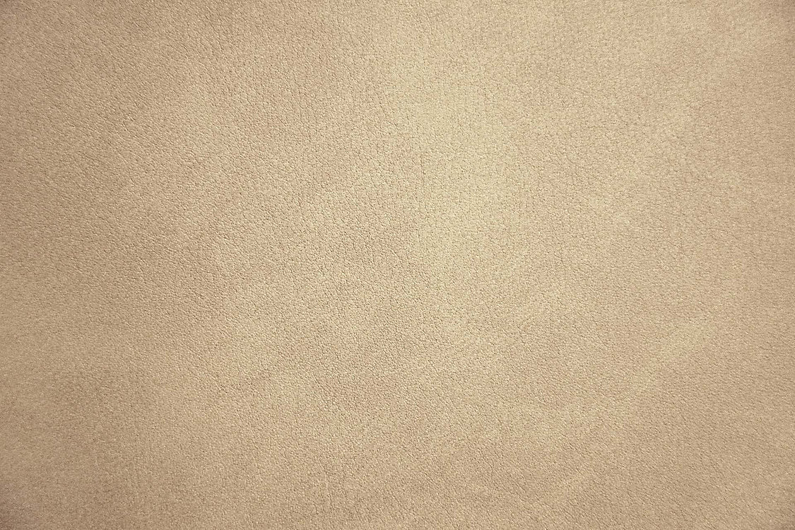 Palma - Mastic - Scalamandre Fabric