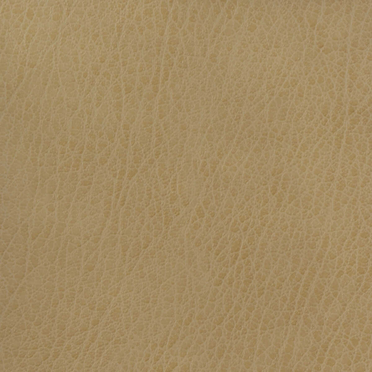 Kravet Basics - Celine-106 - KRAVET BASICS Fabric