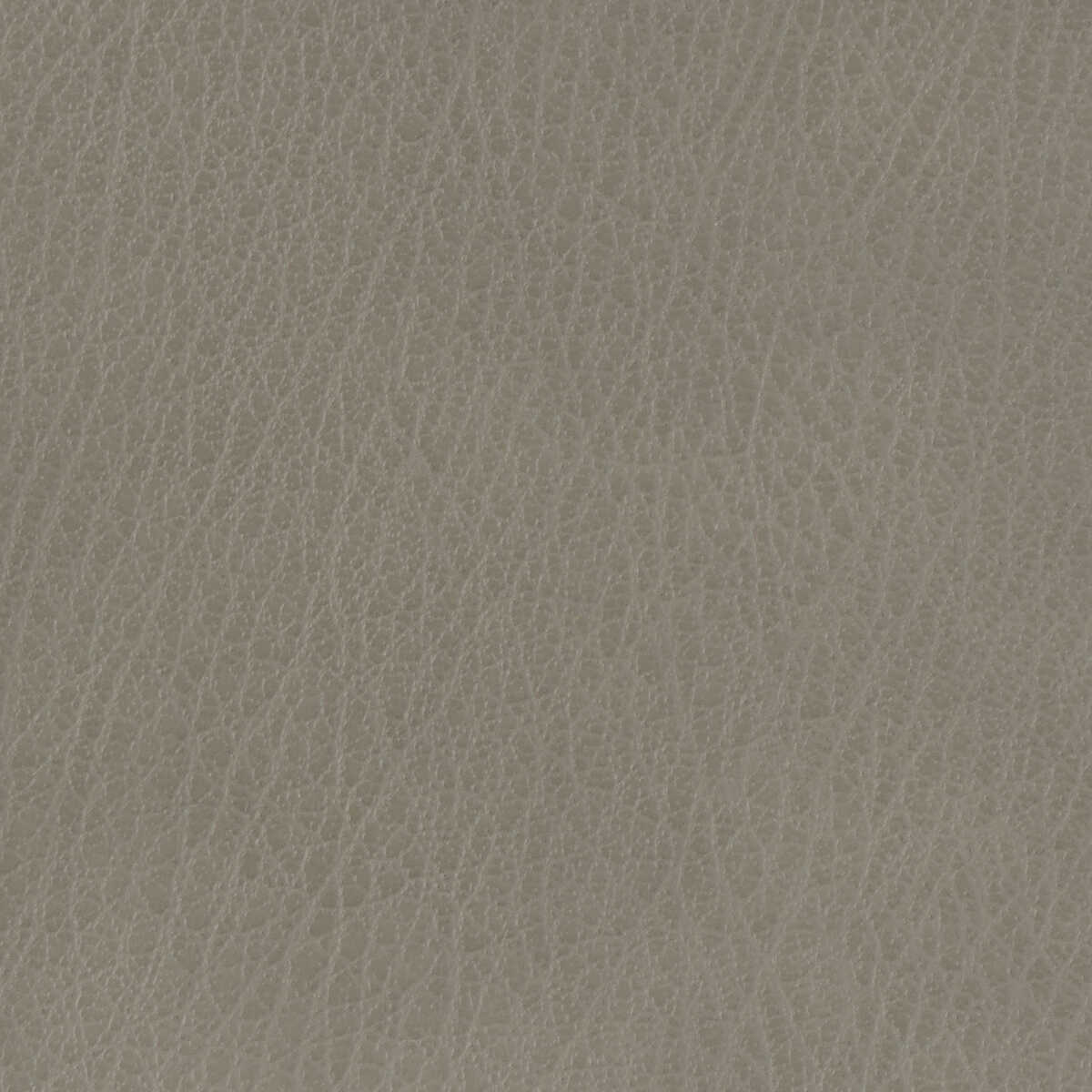 Kravet Basics - Celine-11 - KRAVET BASICS Fabric