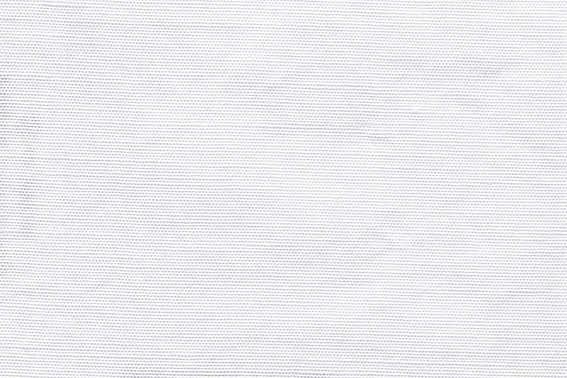 Beluna - Swan