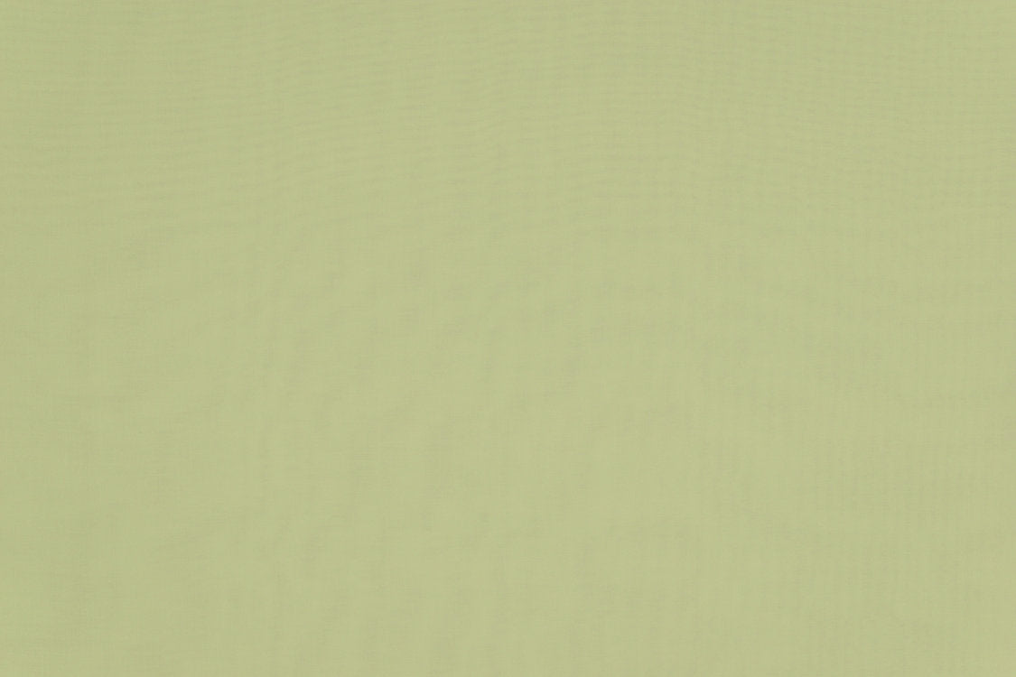 Madrid Cs Iv - Mint - Scalamandre Fabric