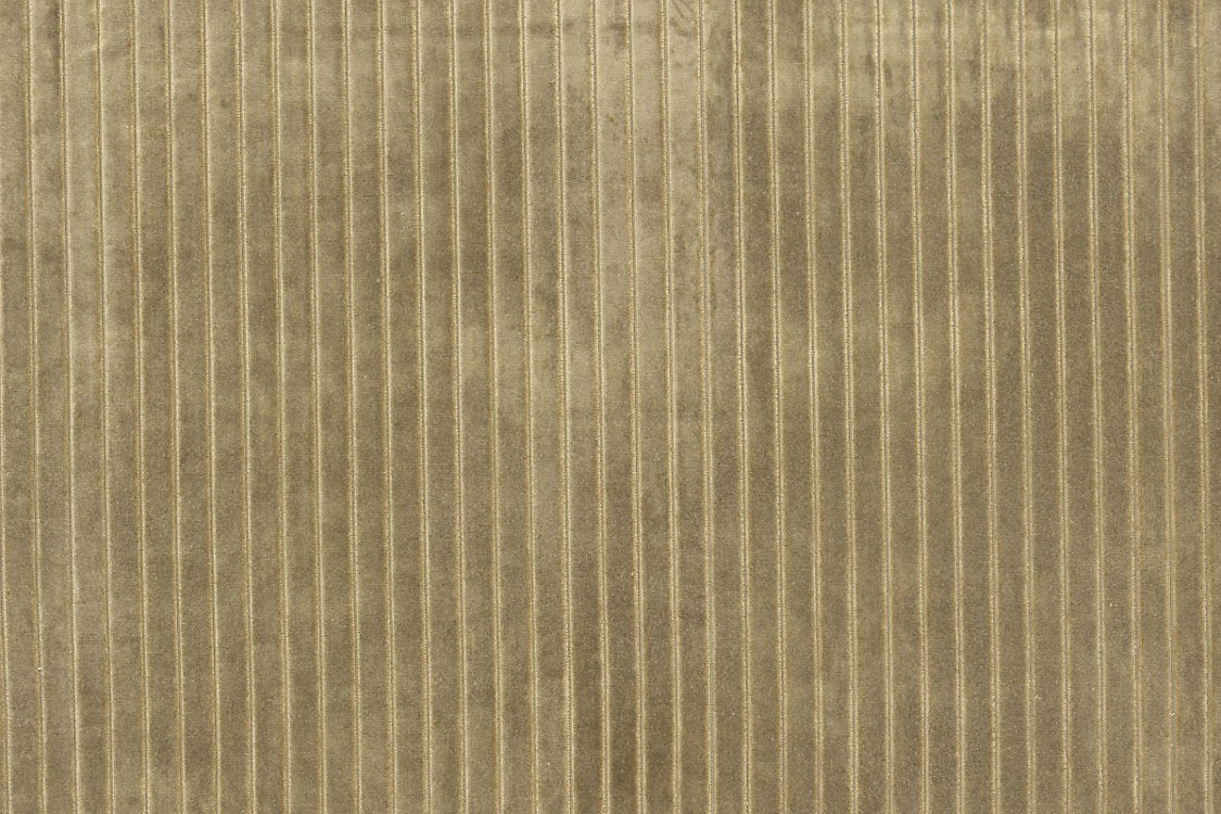 Velvet Stripe - Khaki - Scalamandre Fabric