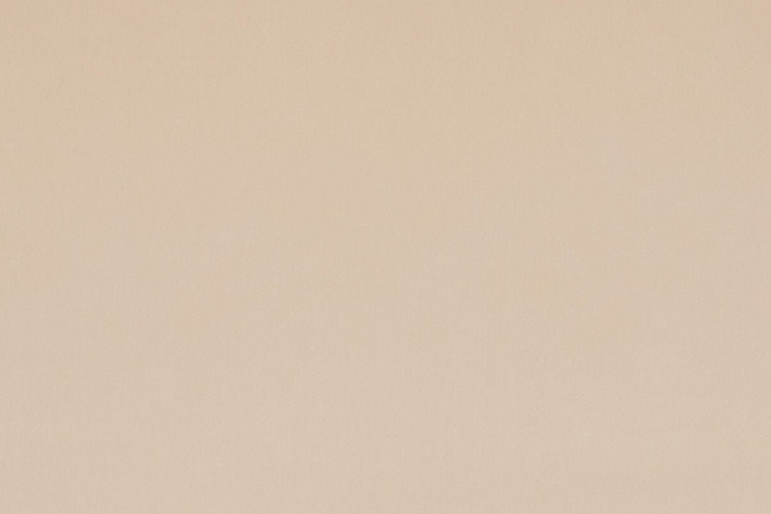 Vip - Cream - Scalamandre Fabric