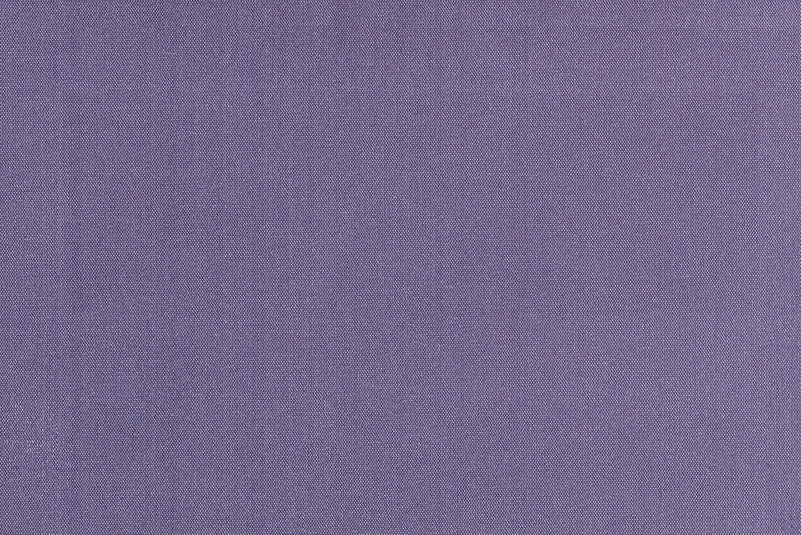 Siam - Crocus