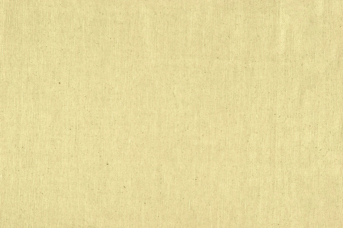 Luna Ii - Bone - Scalamandre Fabric