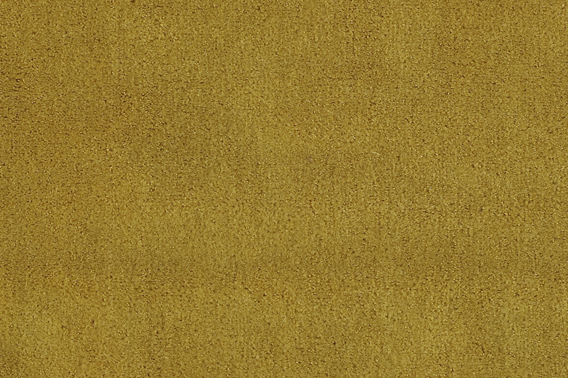 Apollodor - Curry - Scalamandre Fabric
