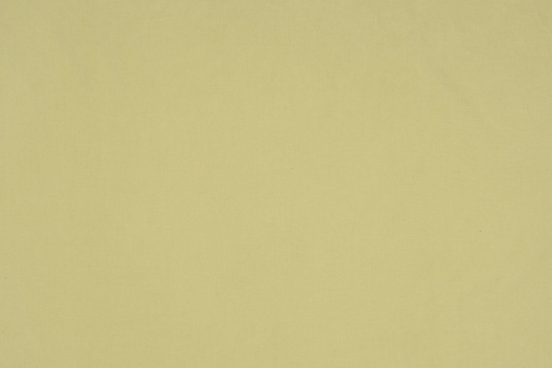 Sonatine - Kiwi - Scalamandre Fabric
