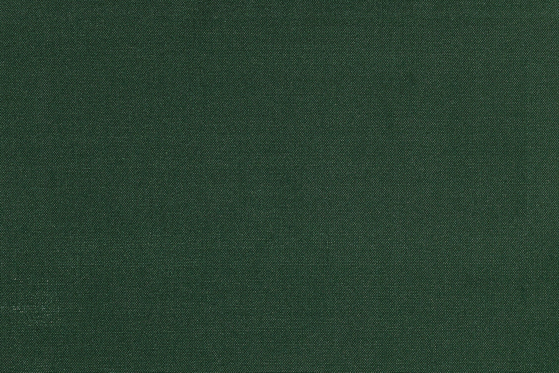 Siam - Hunter