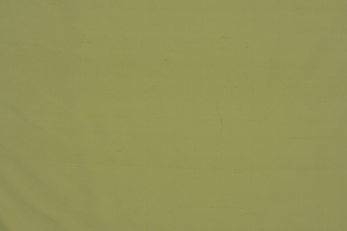 Jamila Ii - Celery
