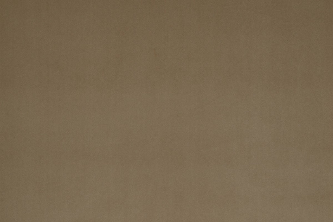 Vip - Camel - Scalamandre Fabric
