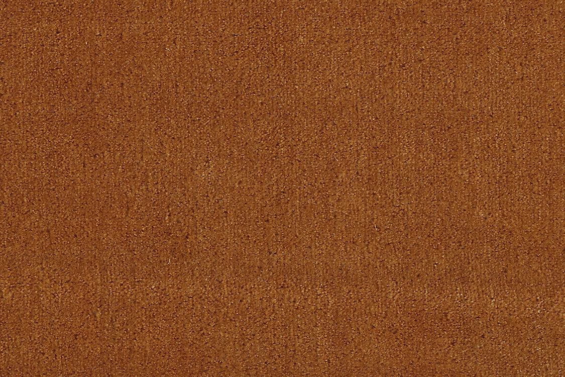 Apollodor - Carrot - Scalamandre Fabric