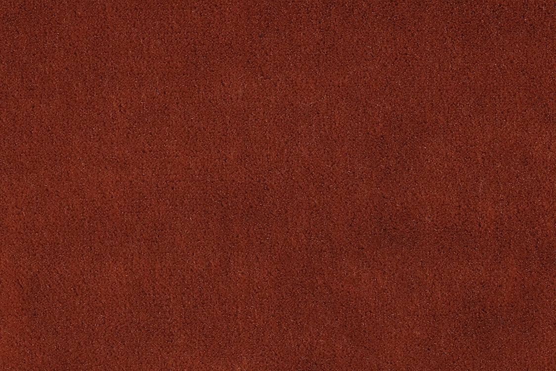 Apollodor - Guava - Scalamandre Fabric
