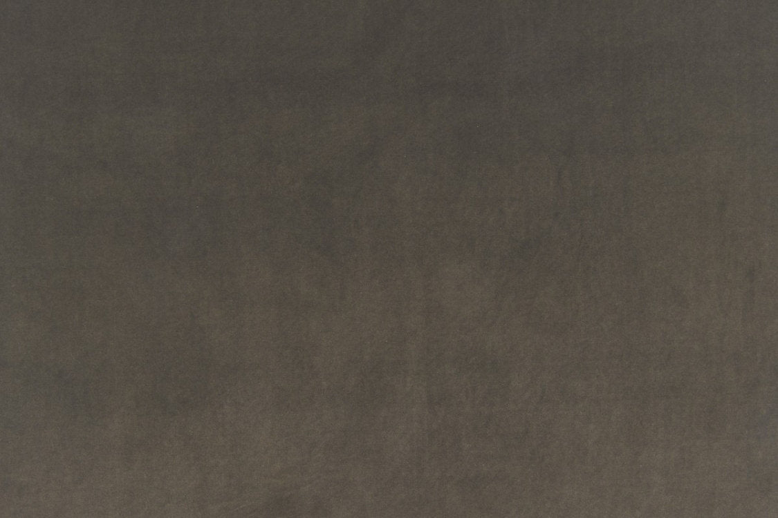 Vip - Mocha - Scalamandre Fabric