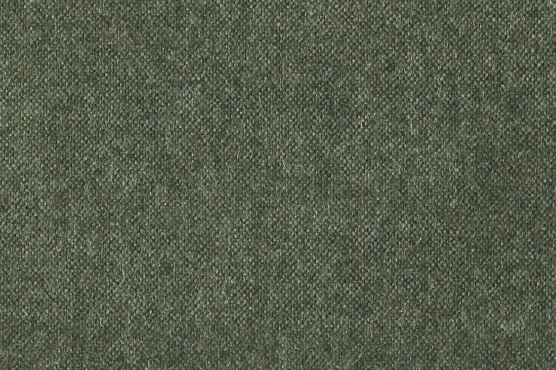 Polaris - Moss