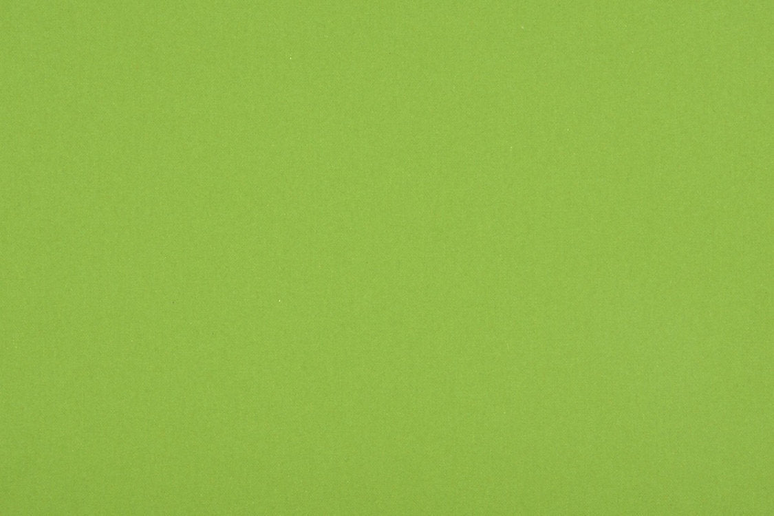 Benu Remix - Grass - Scalamandre Fabric